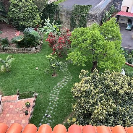 El Oasis Canario 招待所 塔科龙特