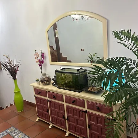 El Oasis Canario 招待所