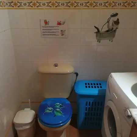 Πανσιόν El Oasis Canario Tacoronte